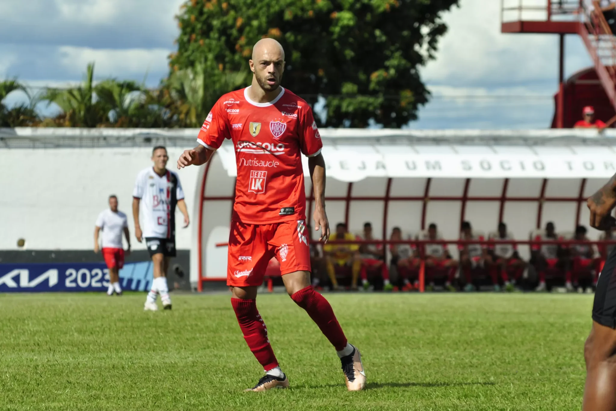 Palpite: Santos x Noroeste - Campeonato Paulista | 19/02/2025
