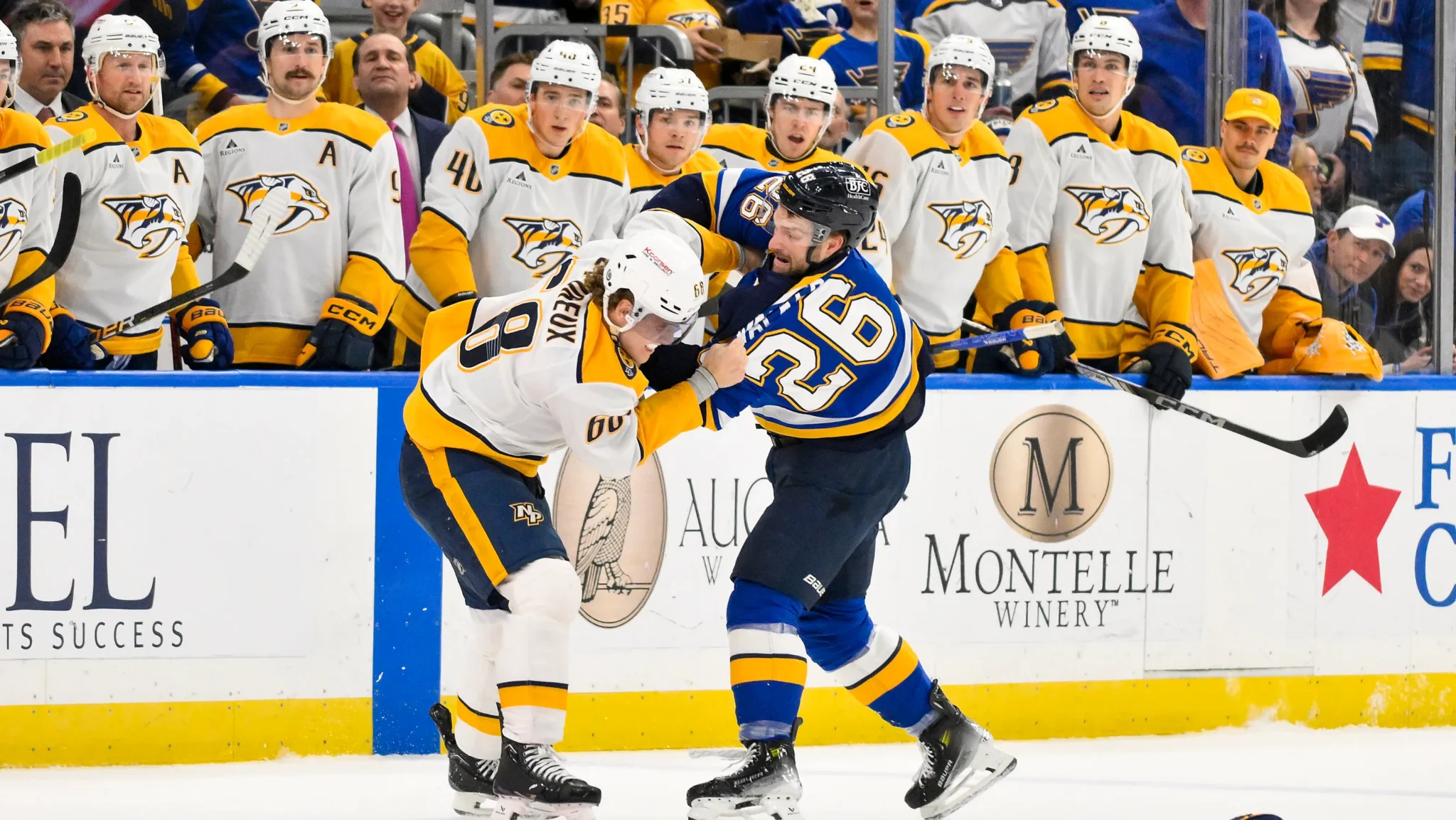 Palpites para a NHL HOJE 📆 25/03/2025