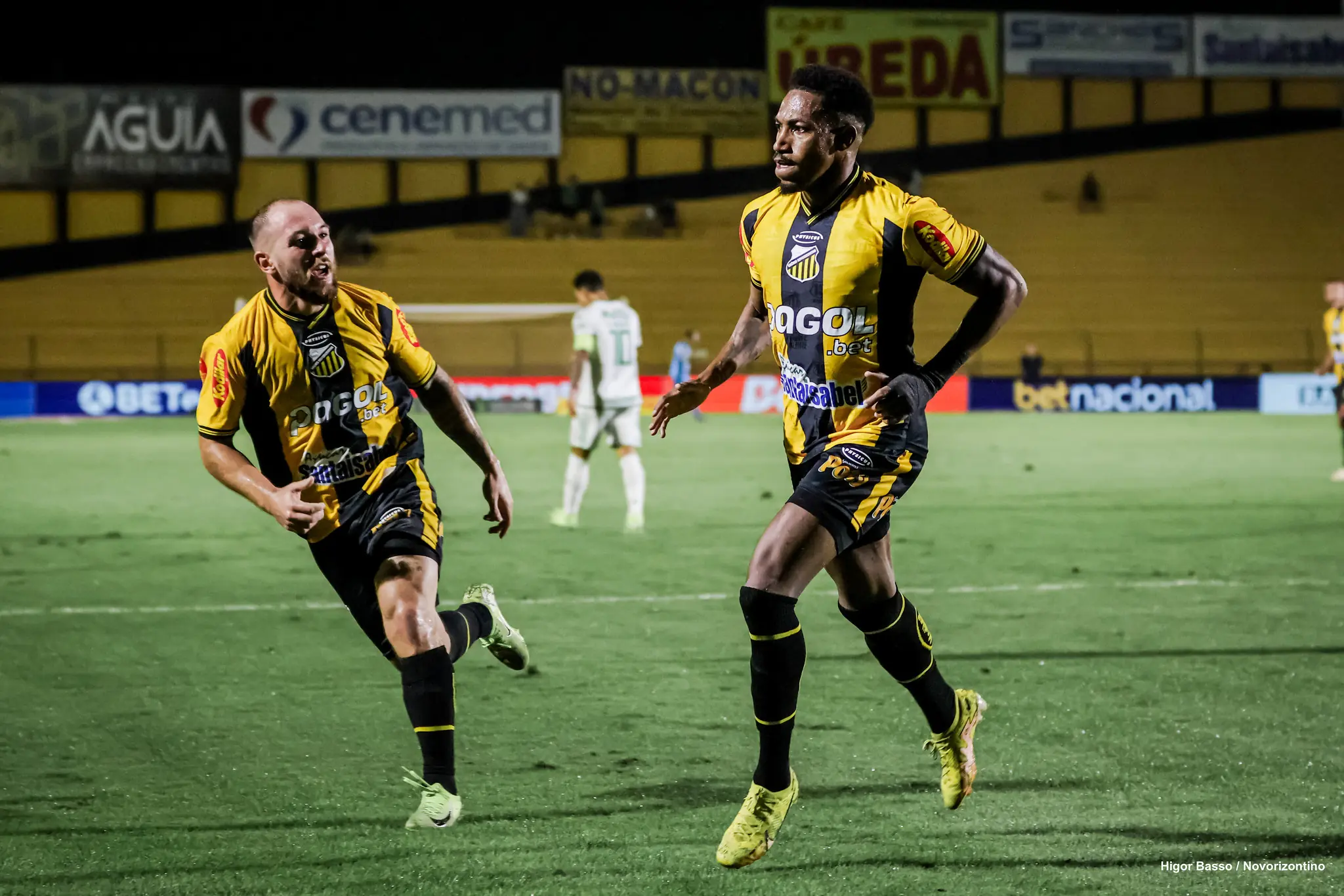 América Mineiro e Novorizontino se enfrentam nesta segunda-feira, 3 de novembro, às 19h (Brasília), pela 35º rodada do Brasileirão Série B de 2025.