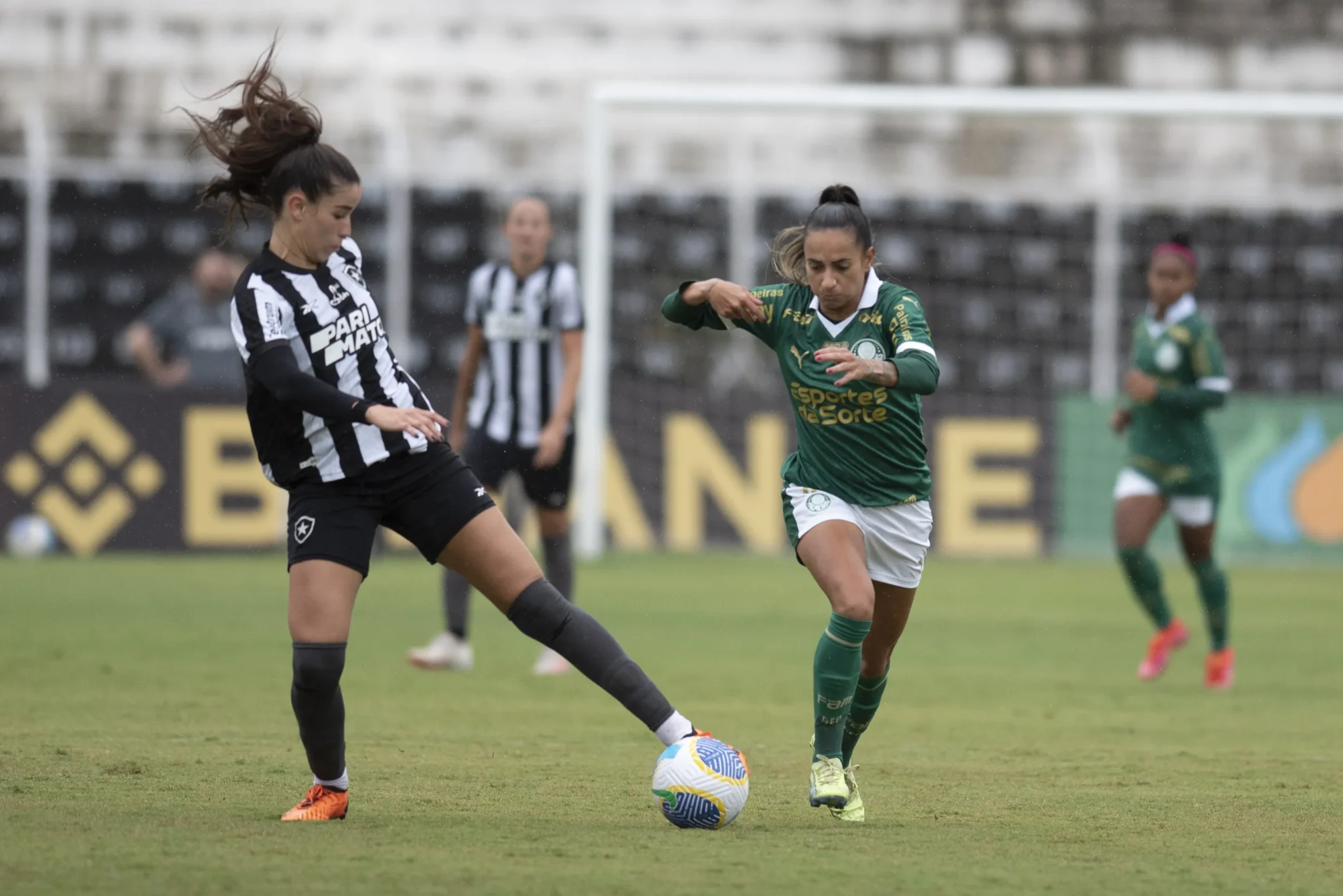 Descubra onde assistir ao vivo, as estatísticas e o melhor palpite para Palmeiras Feminino x Botafogo Feminino no Brasileirão 18/05.