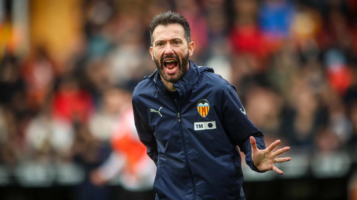 Carlos Corberan prepara o Valencia para o amistoso contra o Derby County na terça-feira (28/07).
