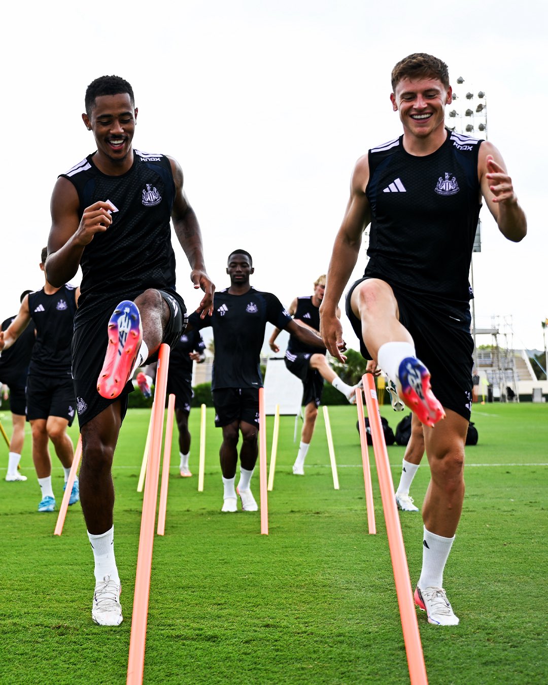 Palpite para Valencia x Newcastle pelo Troféu Naranja neste sábado (08/08). Onde assistir ao vivo (DAZN), prováveis escalações, estatísticas e análise.