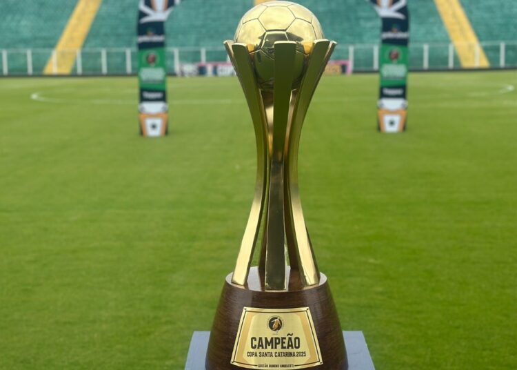 Palpites e Onde Assistir Copa Santa Catarina