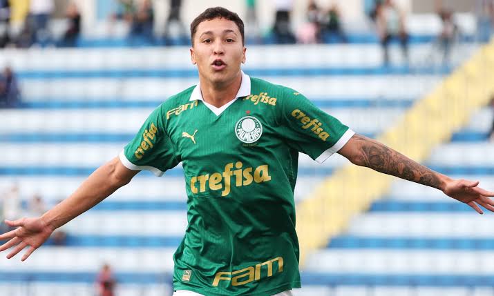 Onde assistir: Palmeiras x Botafogo